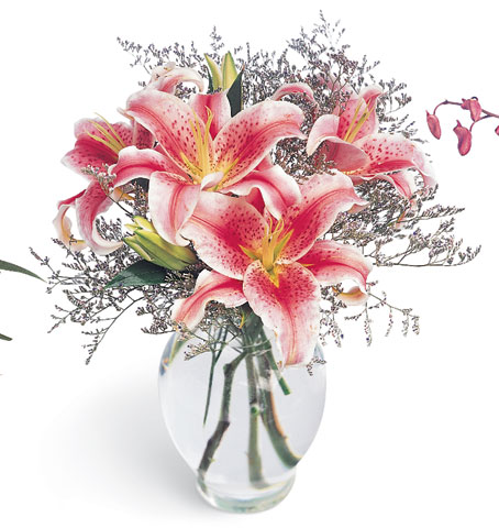 Pink Lily