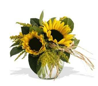 Sassy Sunflowers